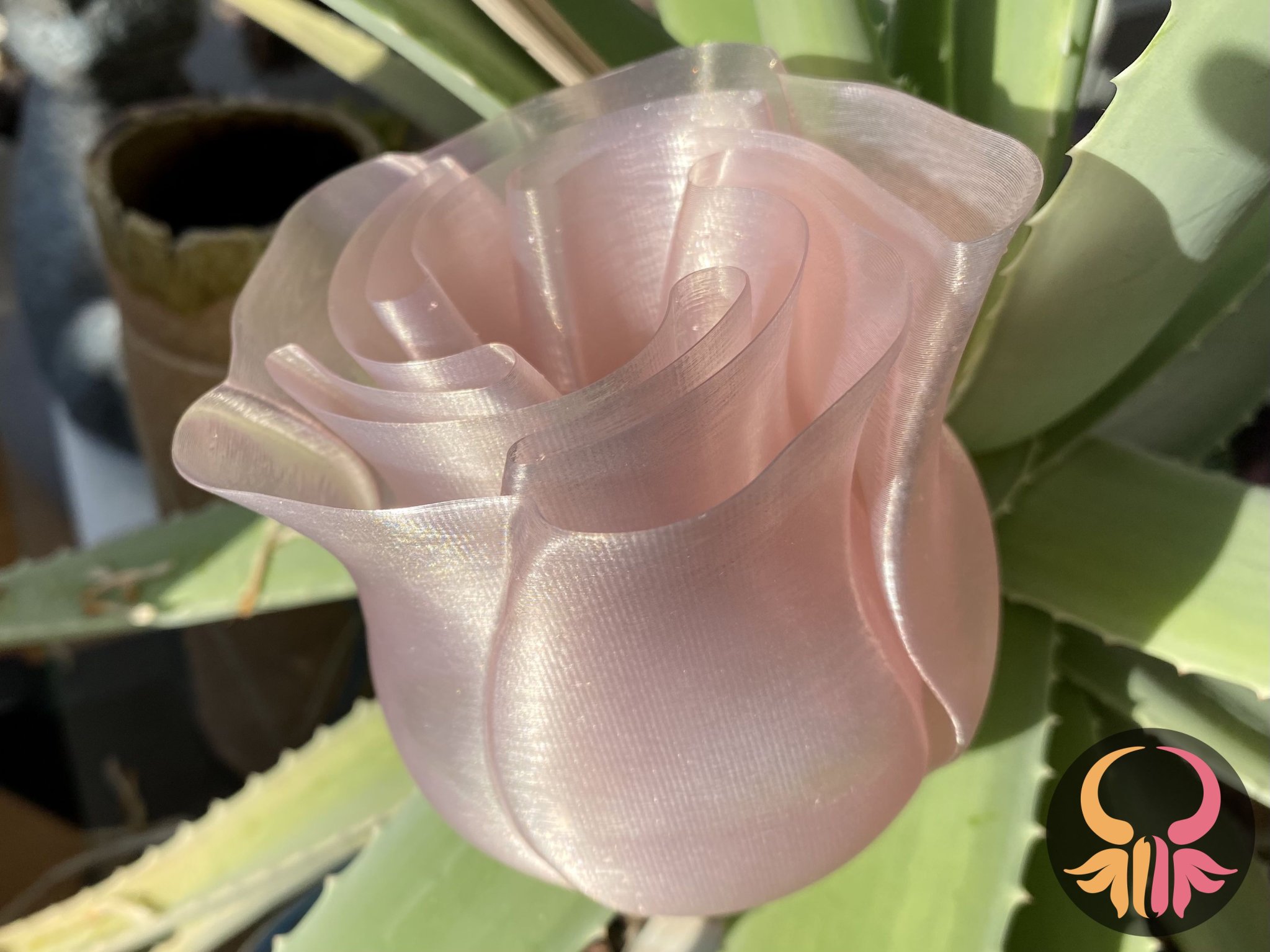 Bình hoa hồng thiết kế in chế độ xoắn ốc