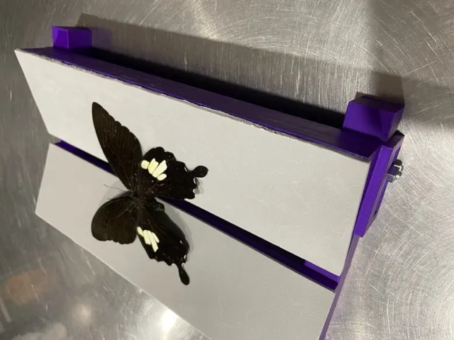 Bảng trải V điều chỉnh cho côn trùng có cánh