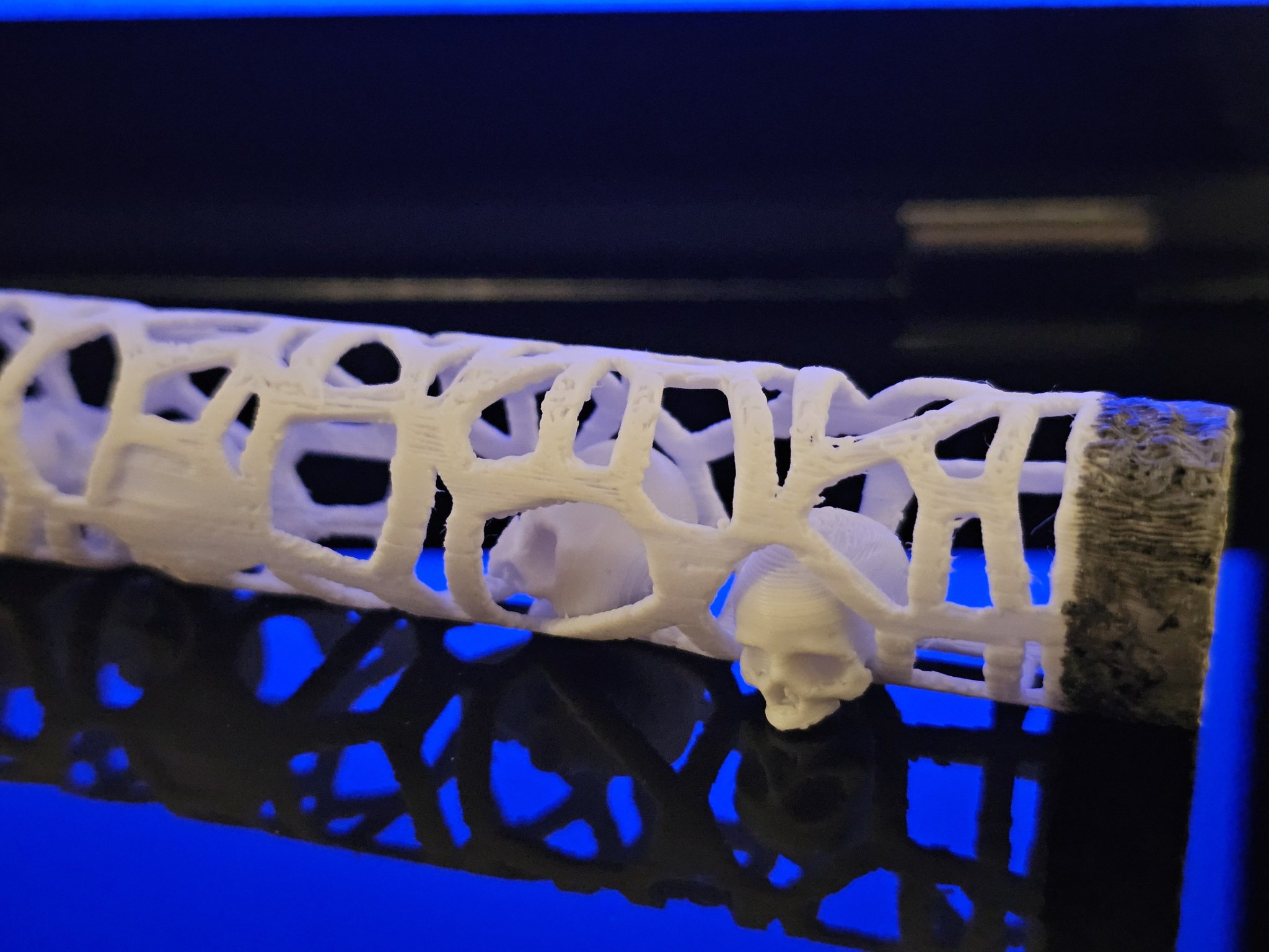 Thông điệp trong Voronoi với 5 bộ sọ di chuyển tự do