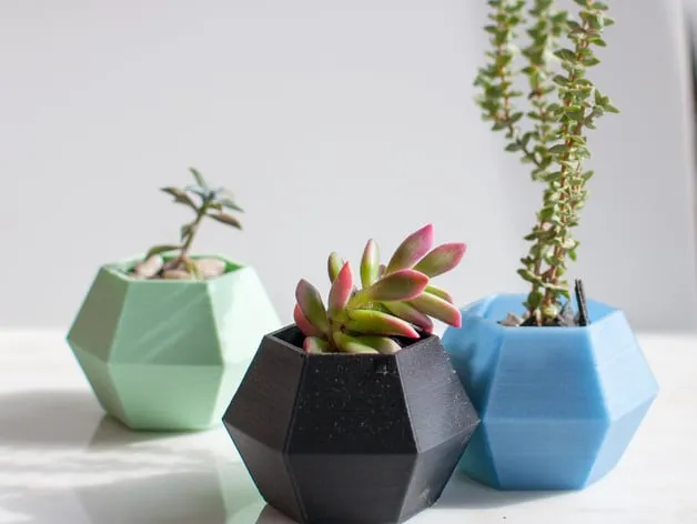 Chậu cây xương rồng hình lục giác trang trí bàn làm việc