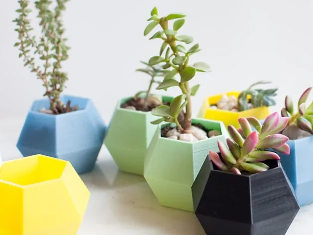 Chậu cây xương rồng hình lục giác trang trí bàn làm việc
