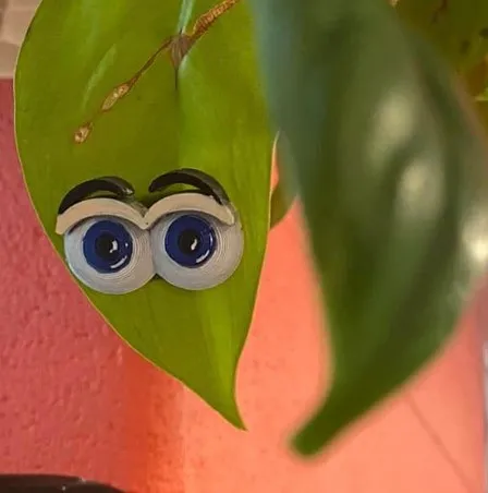 Đôi mắt cho cây xanh - Thêm phần thú vị cho bạn bè thực vật