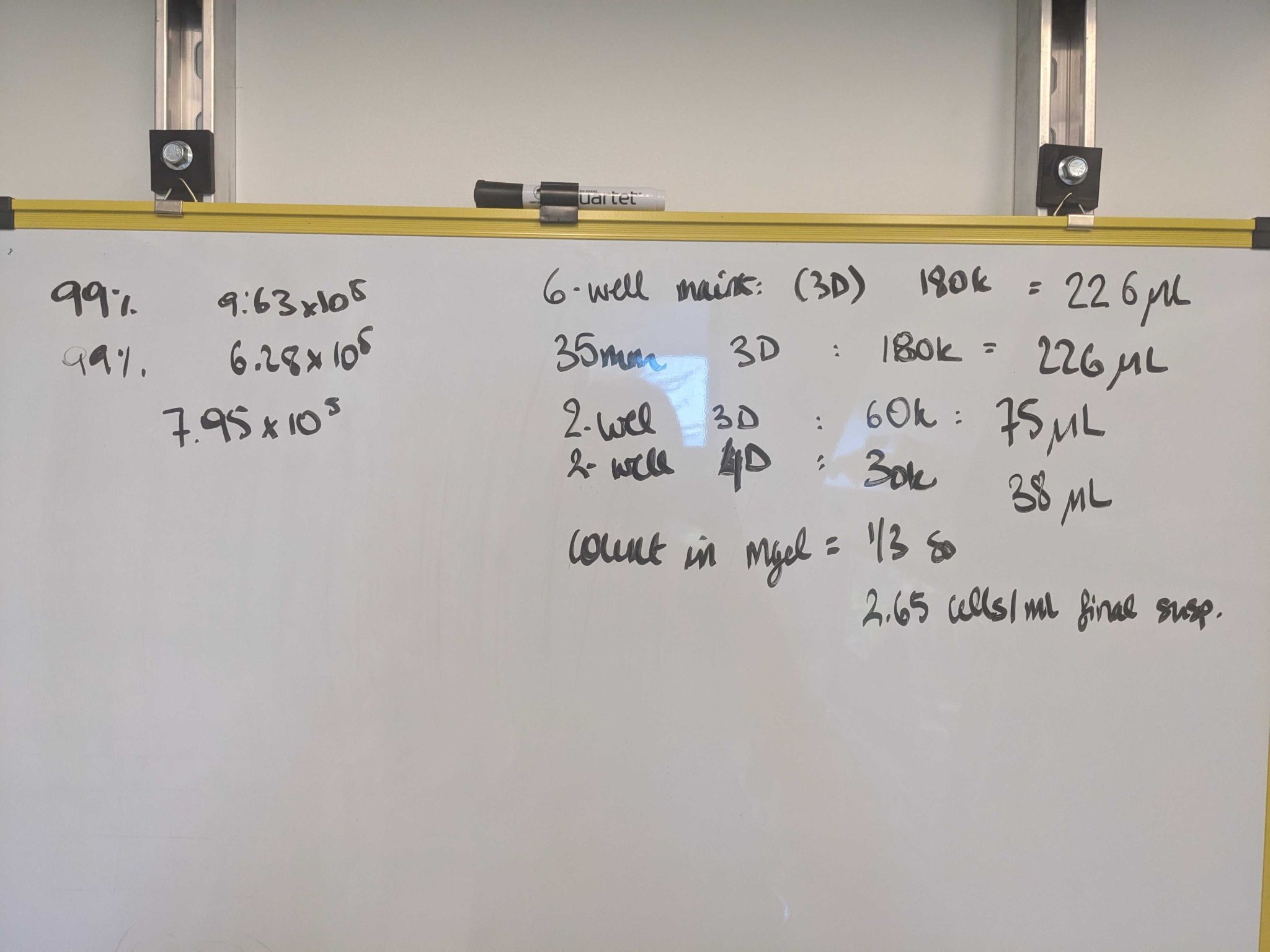 Móc treo bảng trắng cho kênh giằng