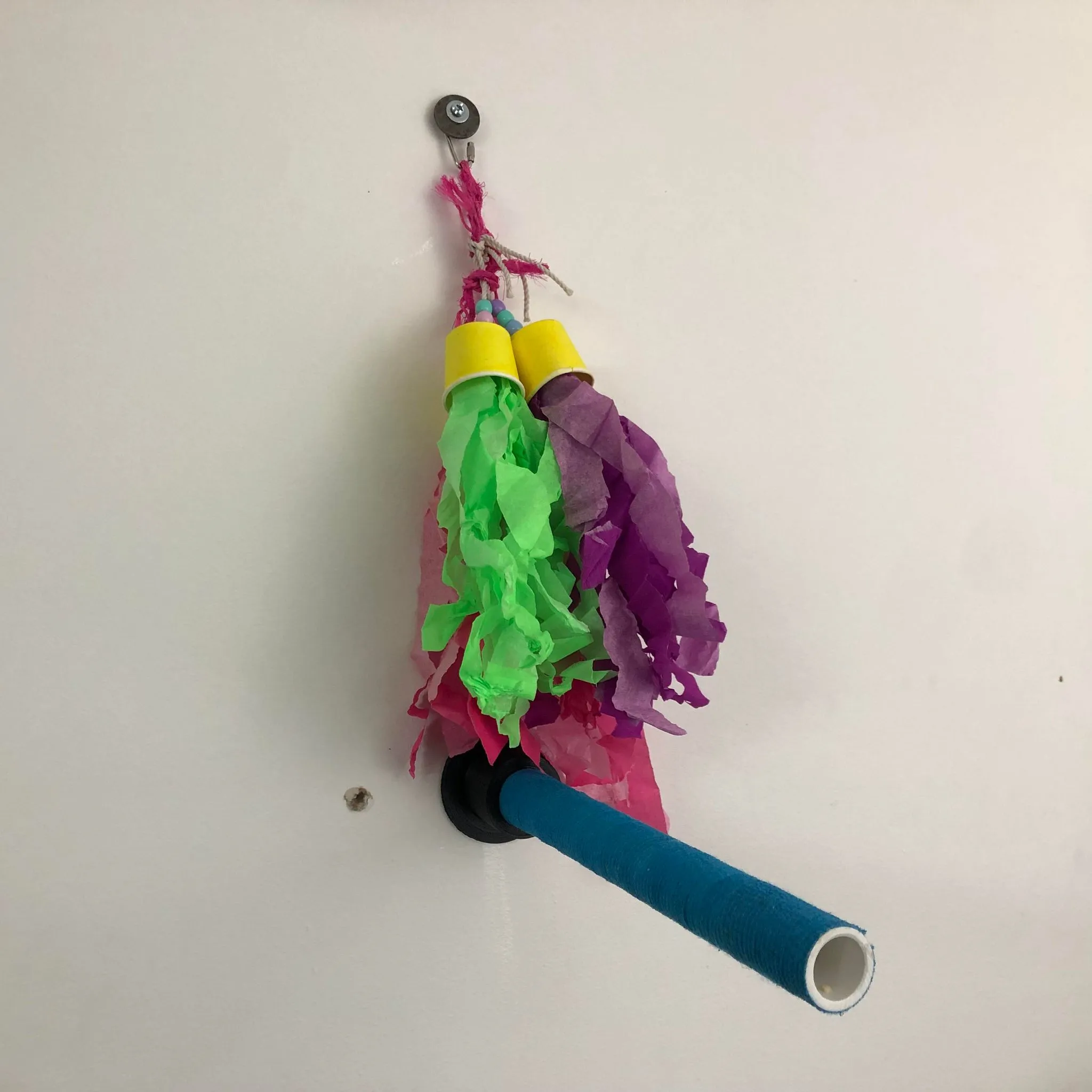 Giá đỡ PVC cho chim với ống 3/4