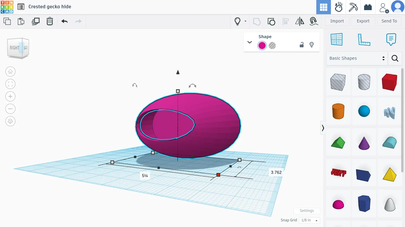 Hang ẩn cho tắc kè hoa có nam châm