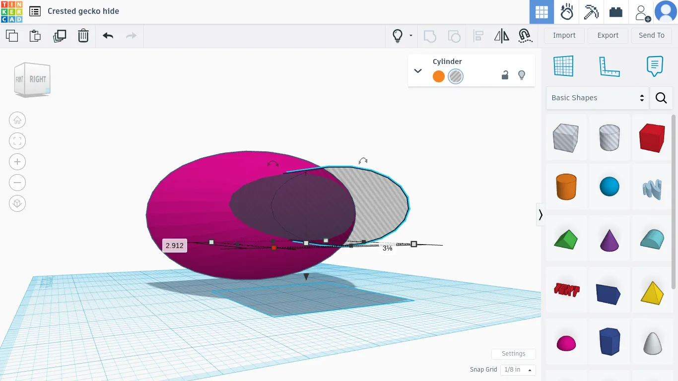 Hang ẩn cho tắc kè hoa có nam châm