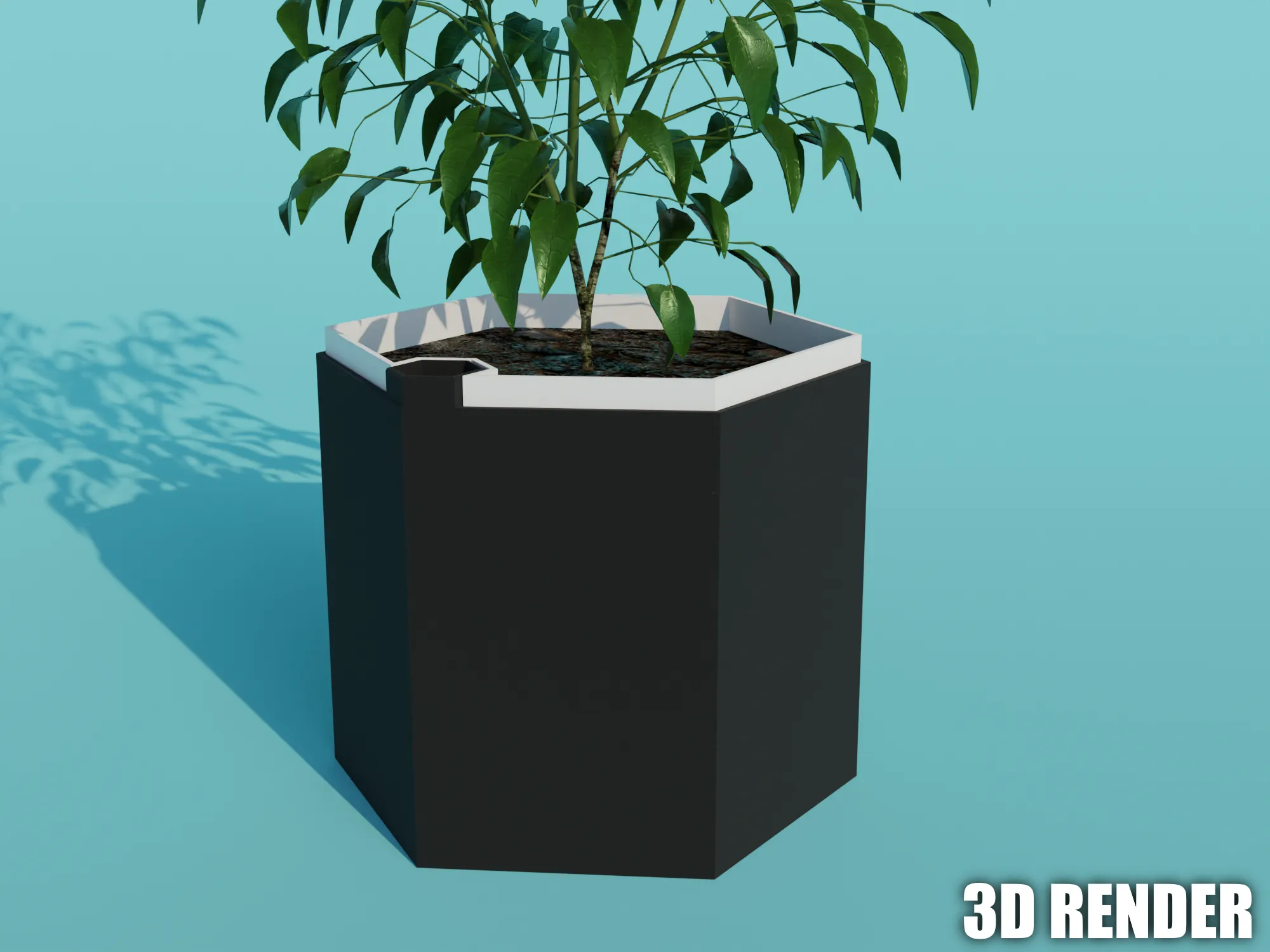 Chậu cây tự tưới hình lục giác kích thước 16x16x14cm