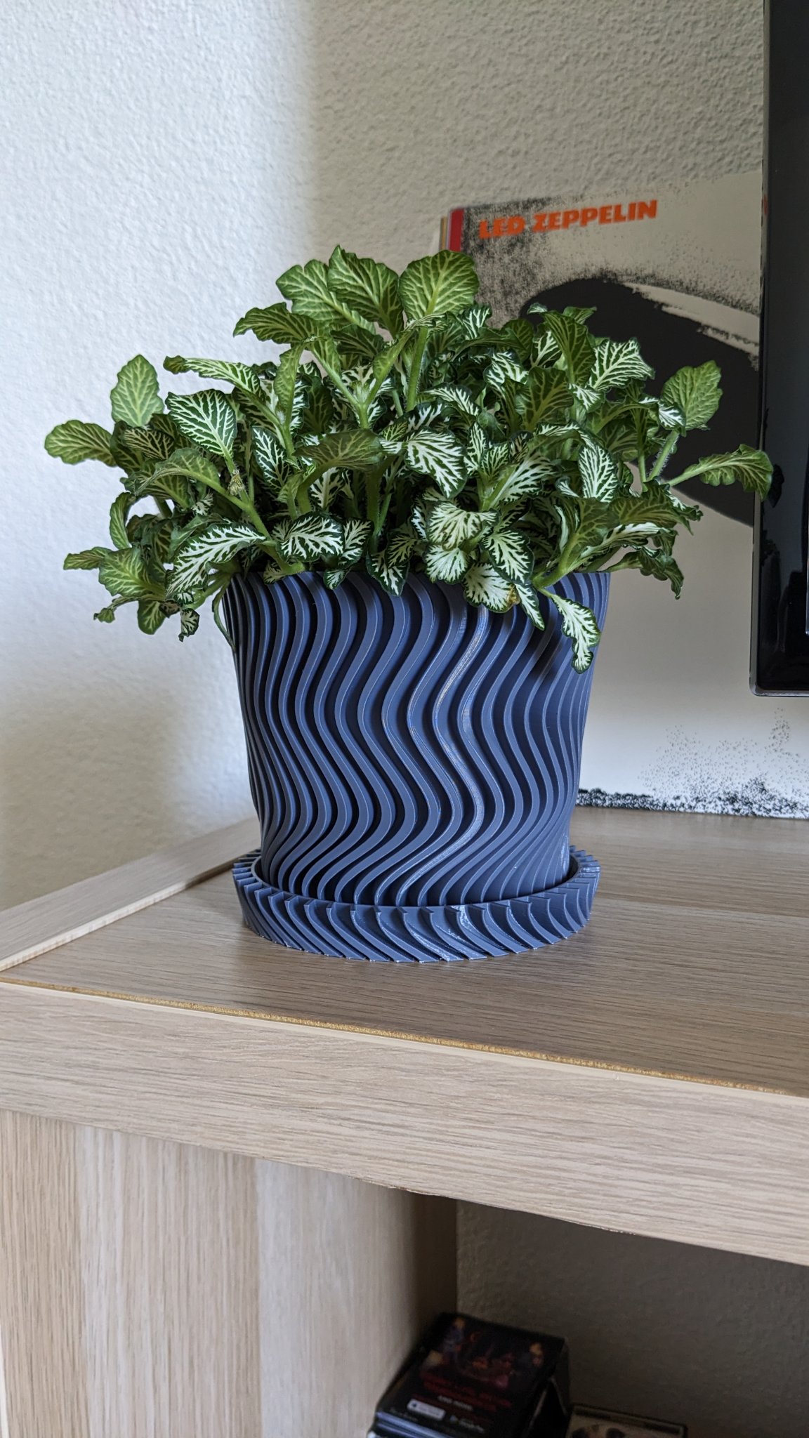 Bình hoa xoắn ốc với đĩa cho cây trong nhà