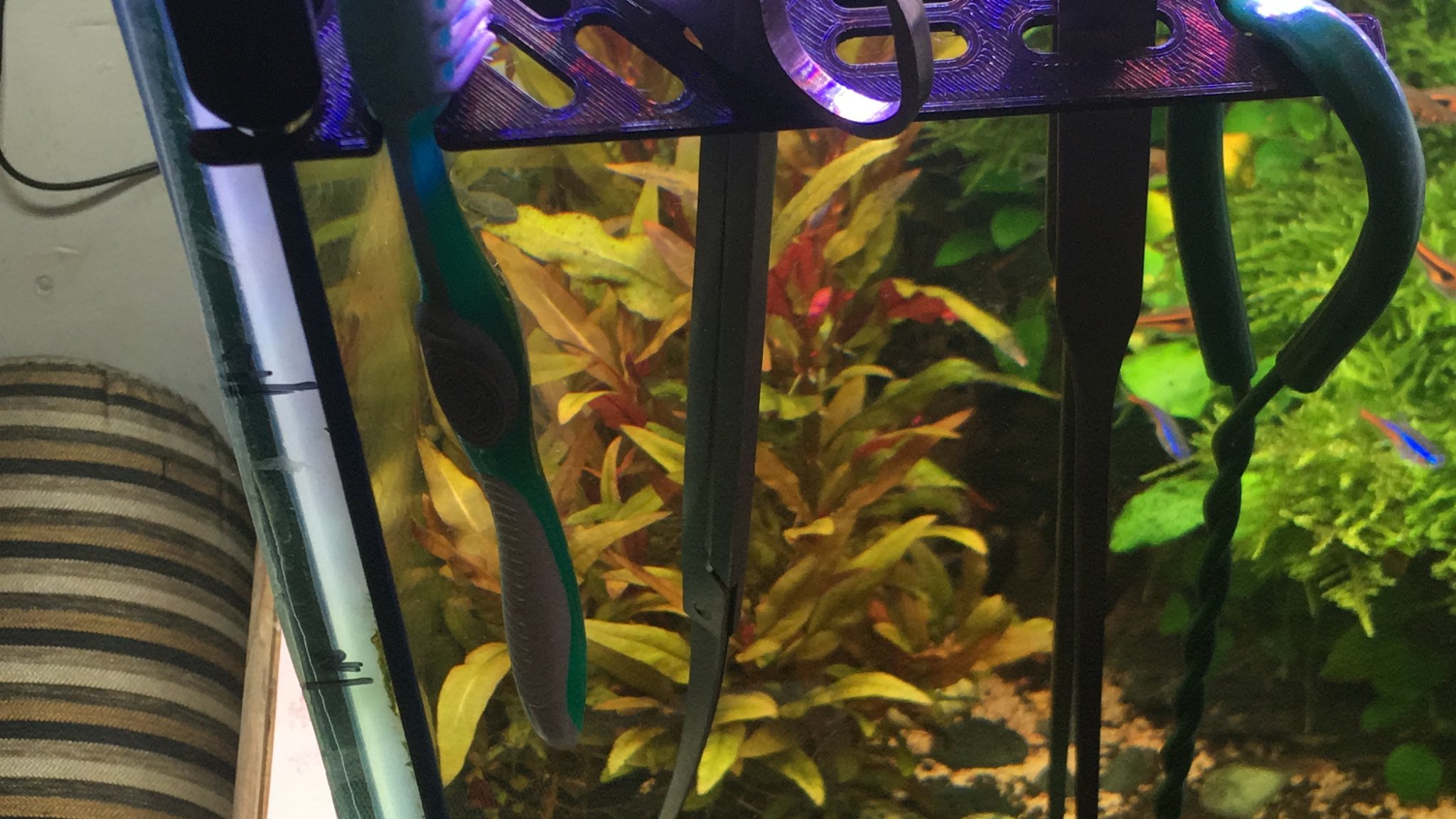 Giá đỡ dụng cụ aquascaping cho bể cá