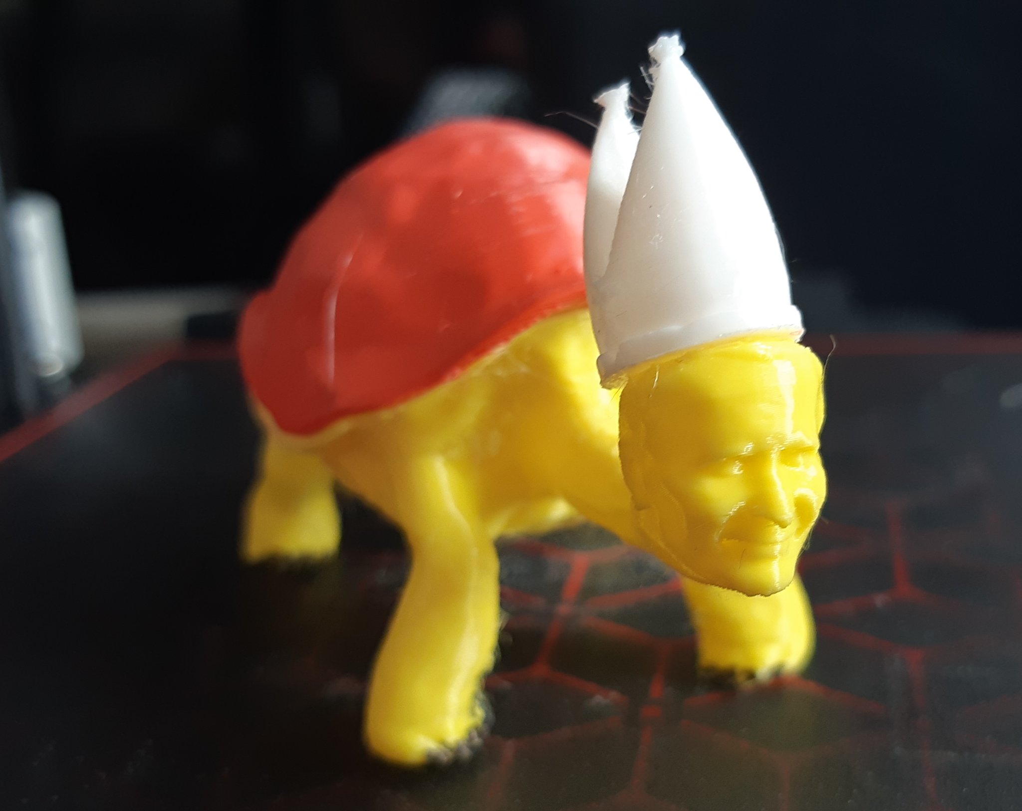 Giáo hoàng rùa nhiều màu sắc Jan Turtel II