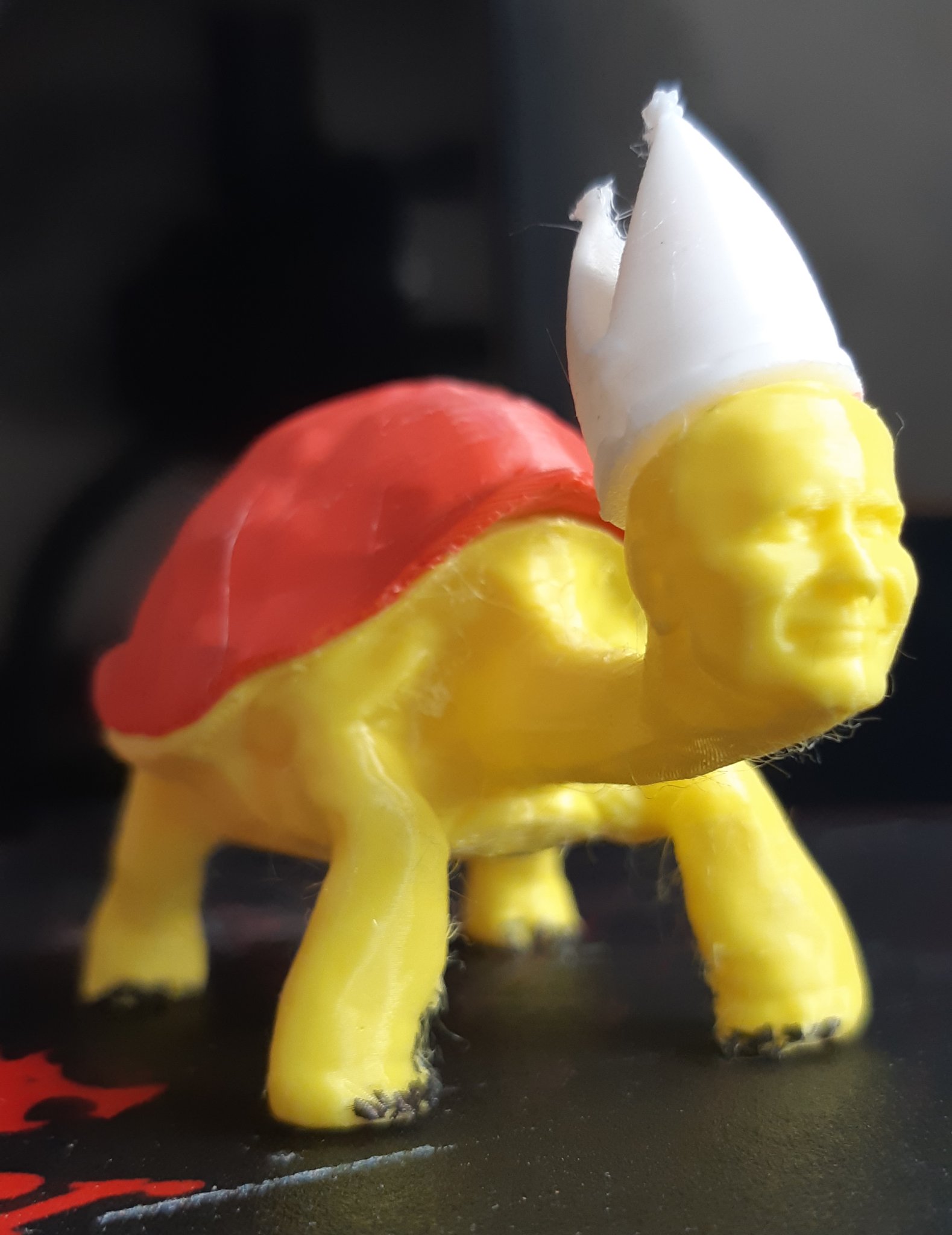 Giáo hoàng rùa nhiều màu sắc Jan Turtel II