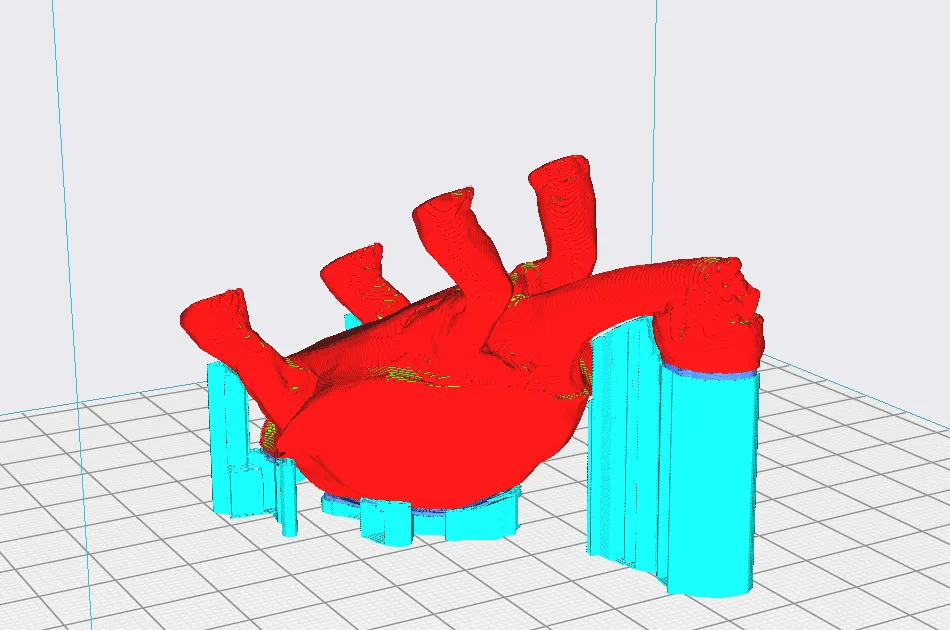 Giáo hoàng rùa nhiều màu sắc Jan Turtel II