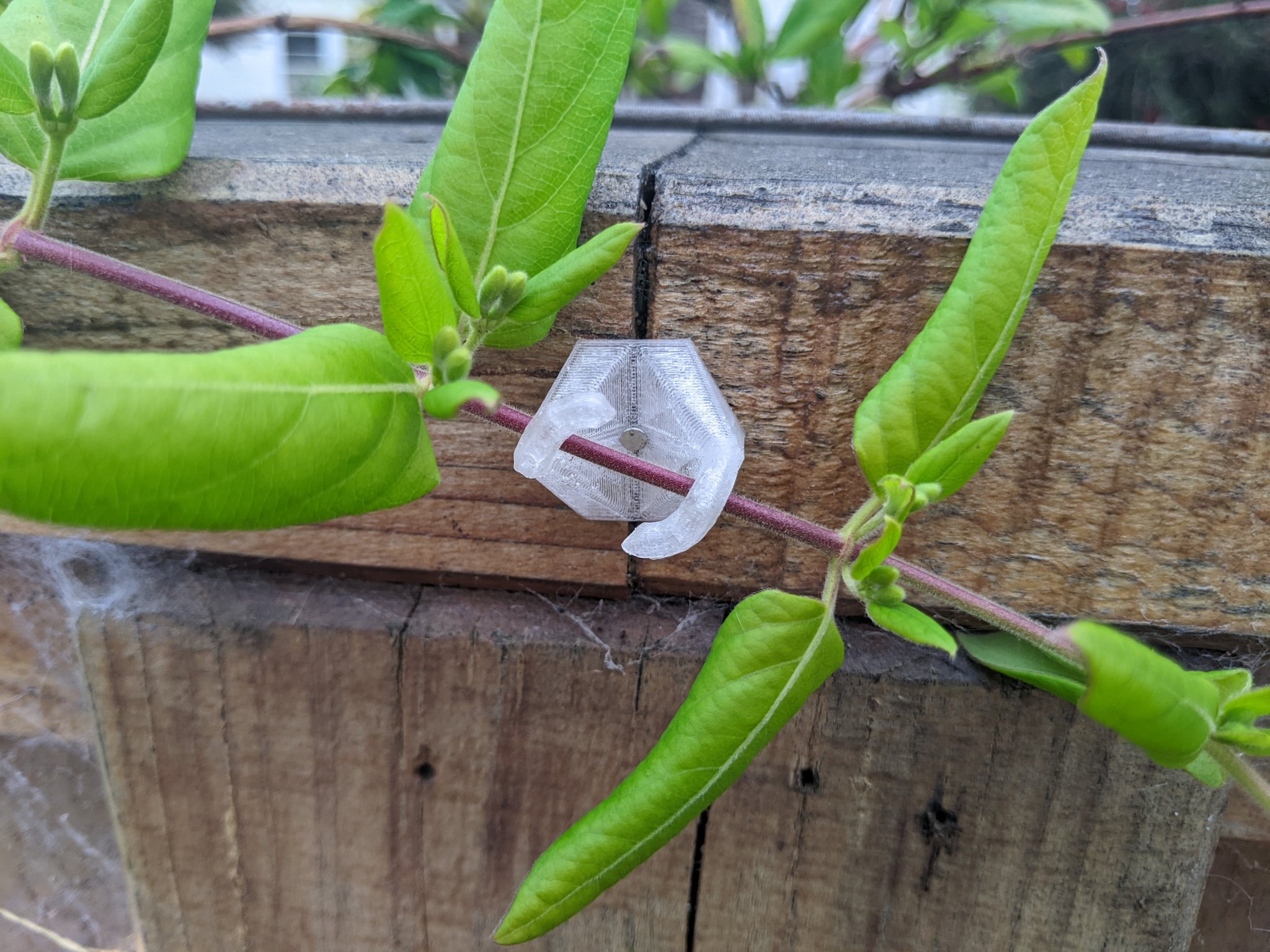 Kẹp thân cây hỗ trợ leo cho cây trồng nhanh chóng và đảo ngư...