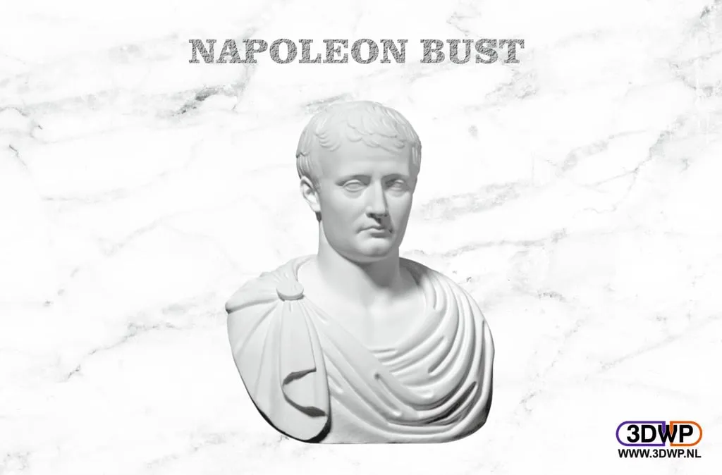 Tượng bán thân Napoleon của Oliver Laric