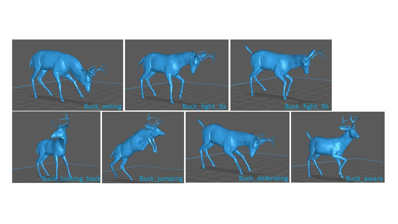 Những chú hươu đực với nhiều tư thế khác nhau