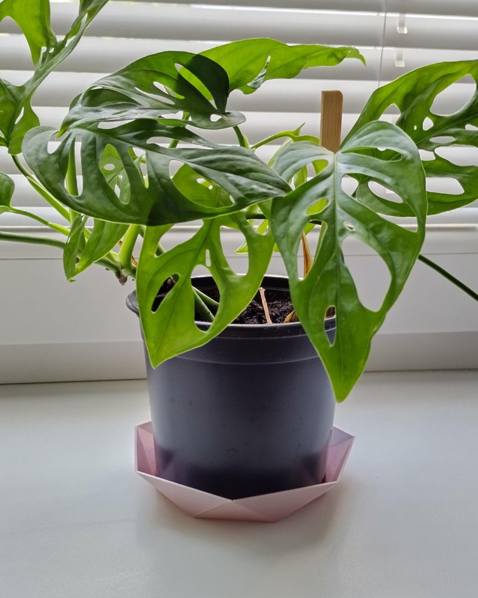 Bát hình tam giác đa giác LowPoly cho chậu cây