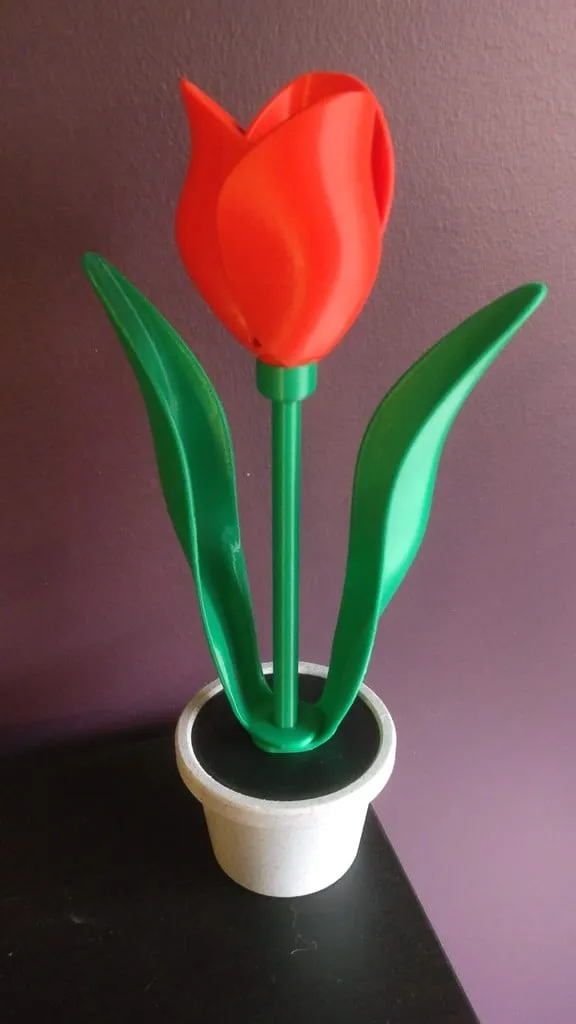 Hoa tulip đơn và chậu với ngăn bí mật