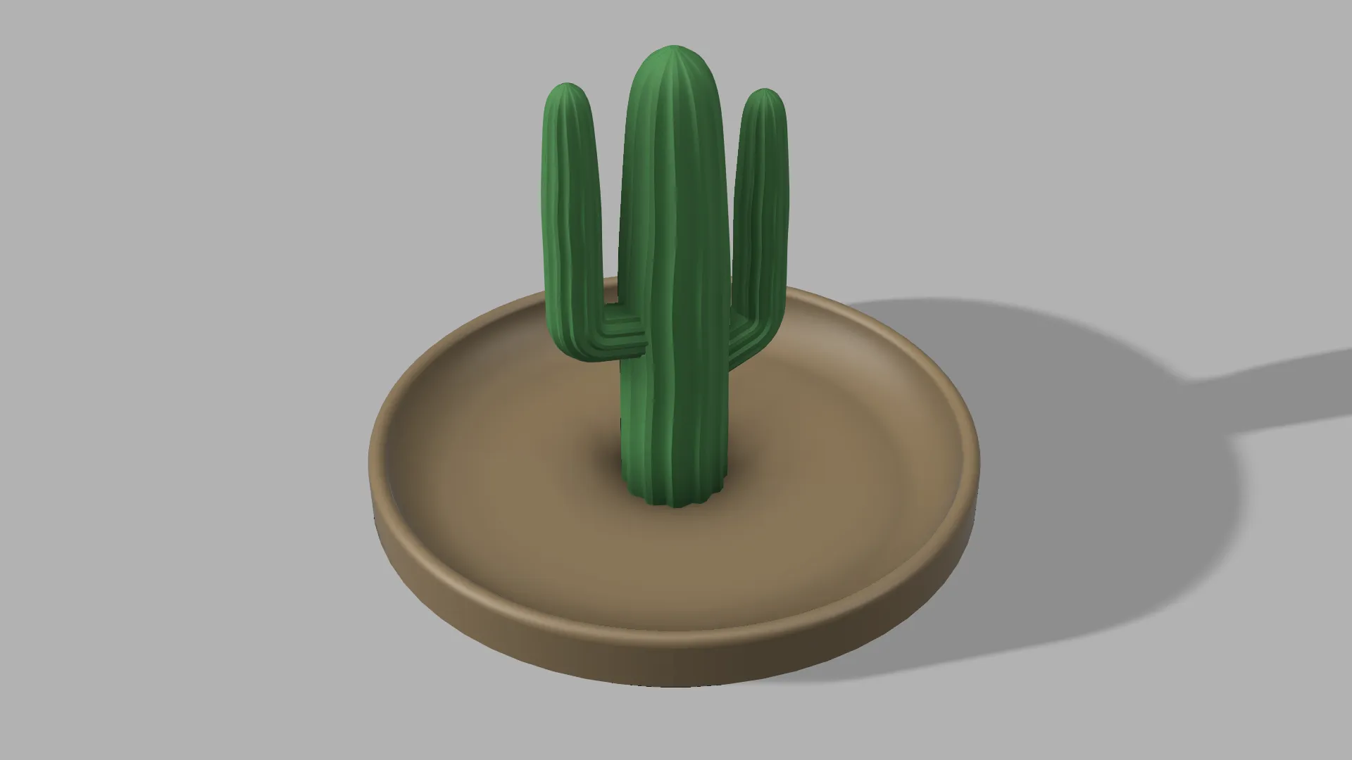 Giá đỡ nhẫn và bông tai hình xương rồng