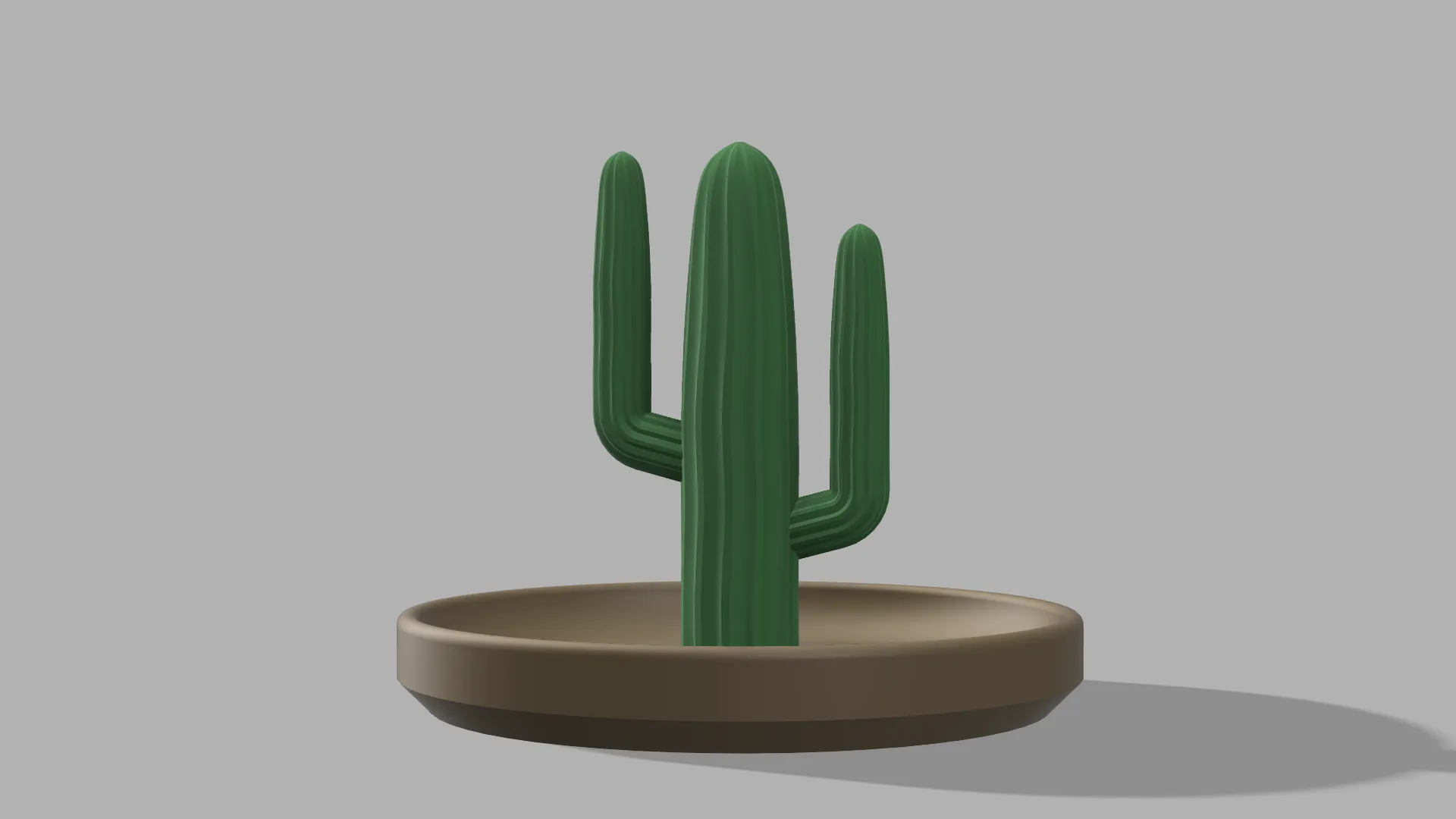 Giá đỡ nhẫn và bông tai hình xương rồng