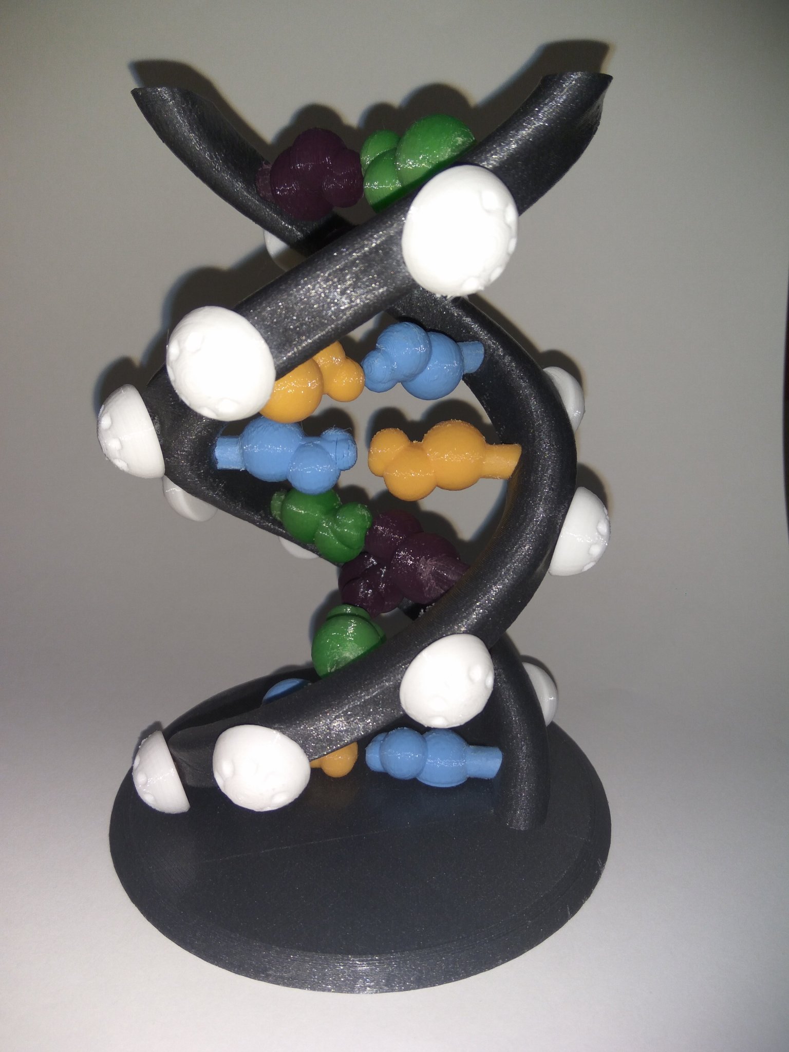 Chuỗi DNA với các thành phần chính của nó