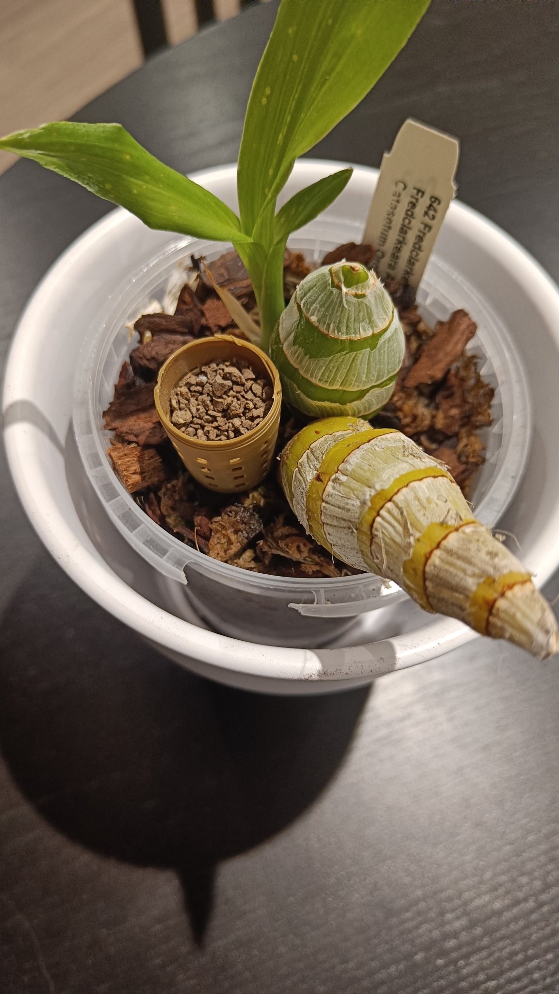 Giỏ đựng phân bón cho cây trồng khi tưới nước