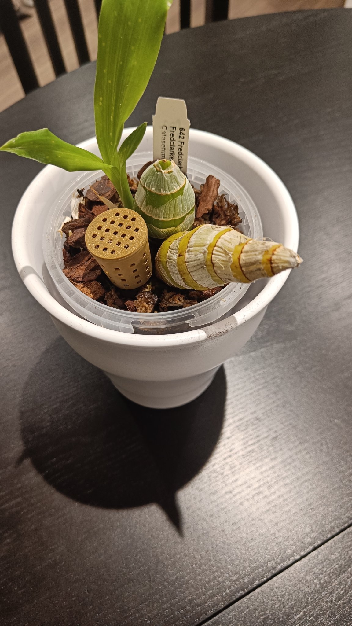 Giỏ đựng phân bón cho cây trồng khi tưới nước