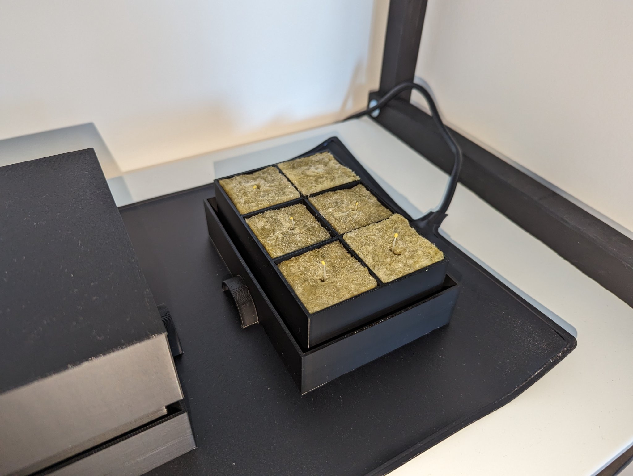 Khay ươm hạt bằng đá khoáng Rockwool 4x4x2cm