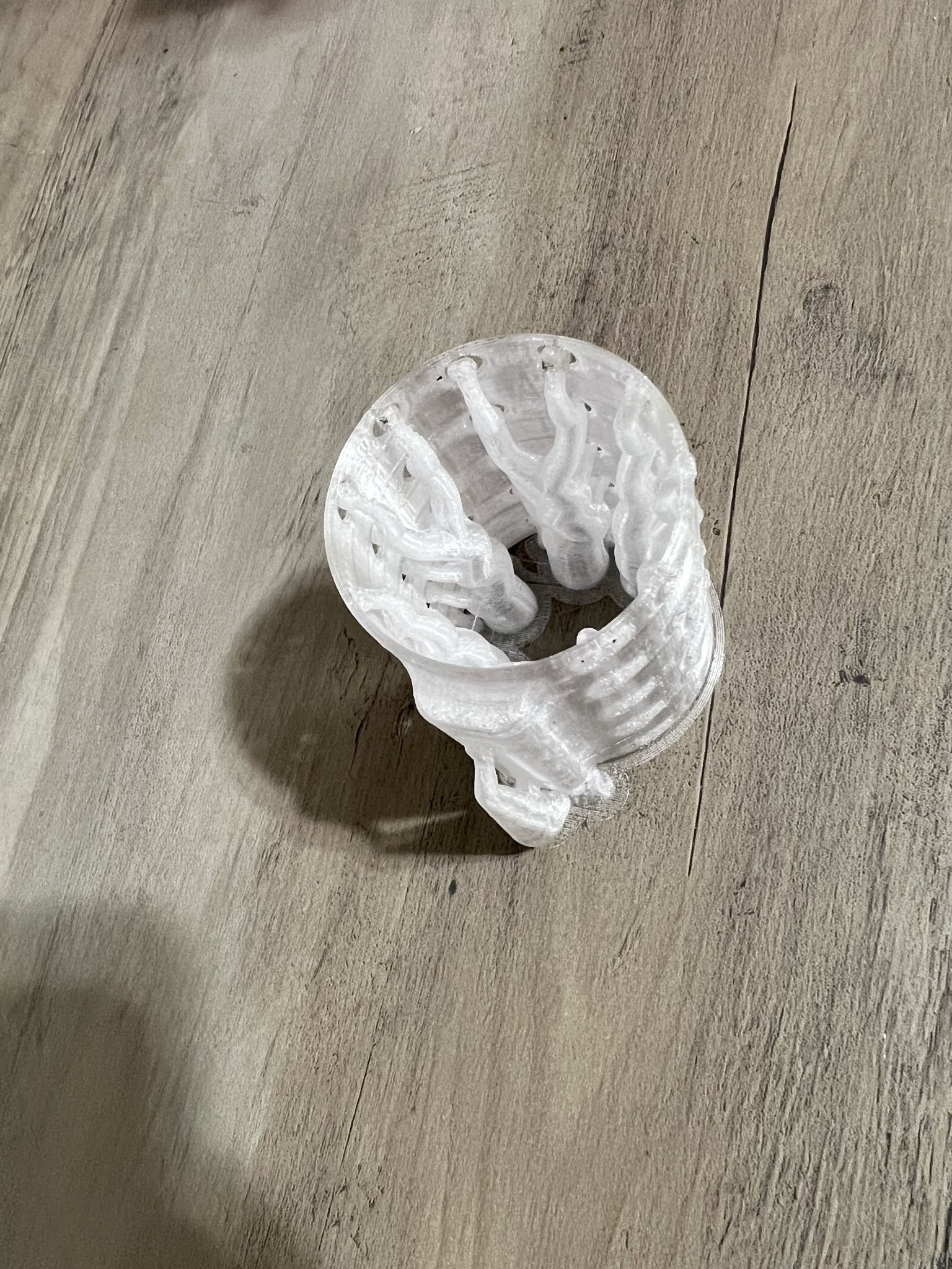 Hang Nổi Cho Cá Betta và Tôm Trong Bể Cá