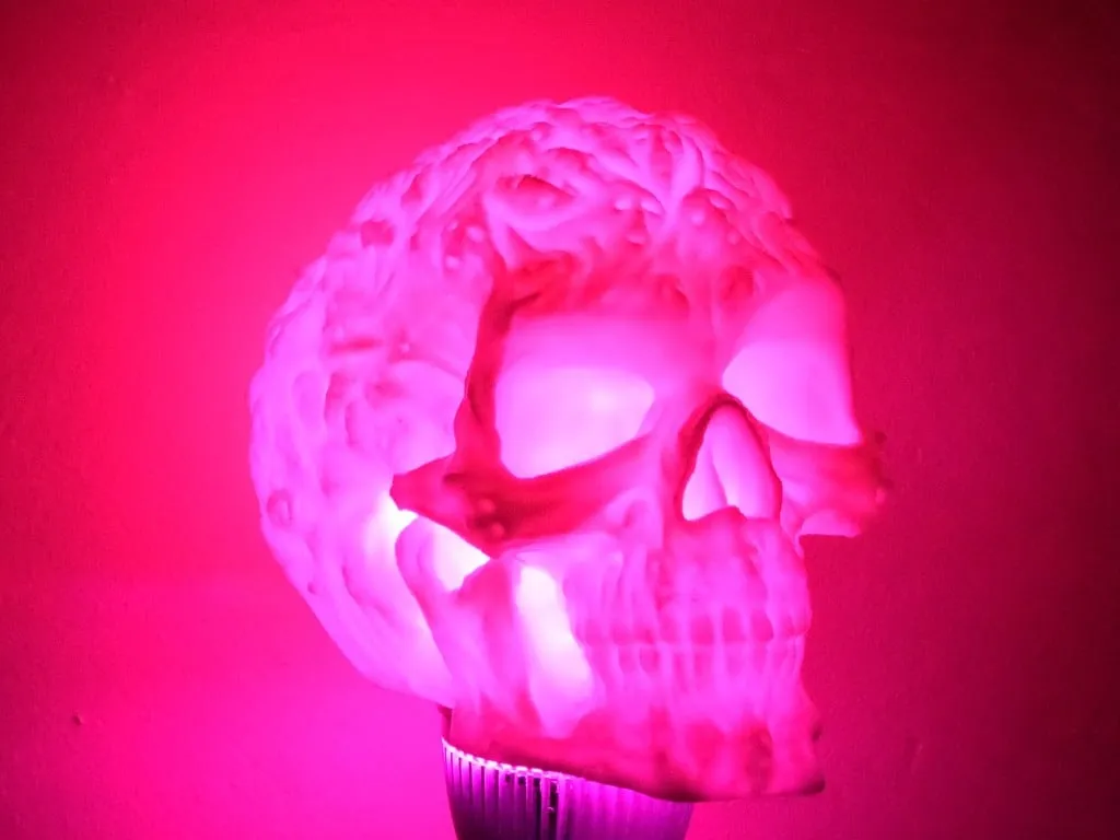 Đầu lâu ma quái rỗng để lắp đèn LED