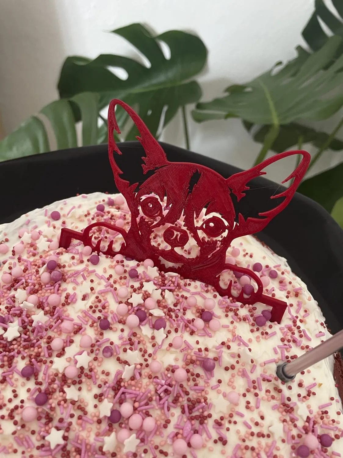 Mô hình trang trí bánh Chihuahua cho những người yêu chó