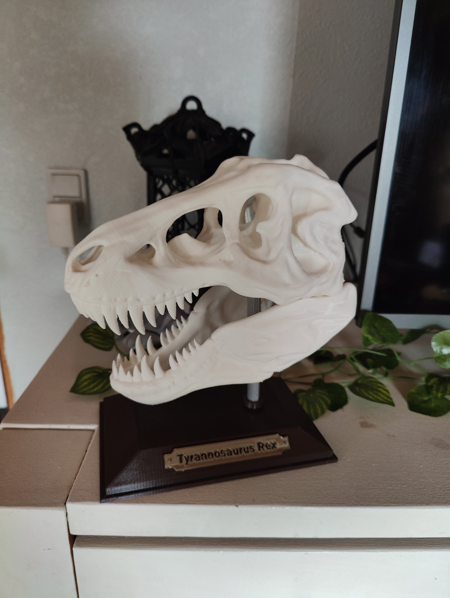 Biển tên tách rời khỏi đế in 2 màu sắc