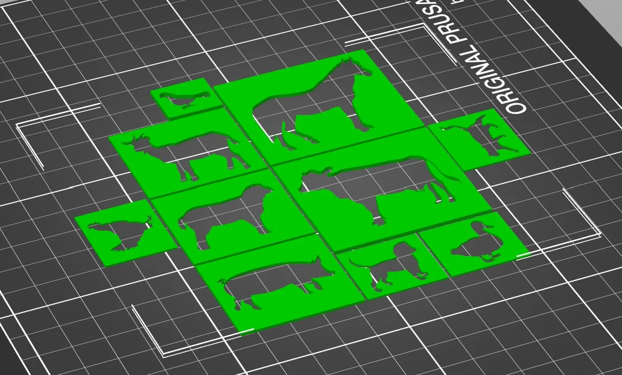 Mẫu hình động vật cho học sinh trường chuyên biệt