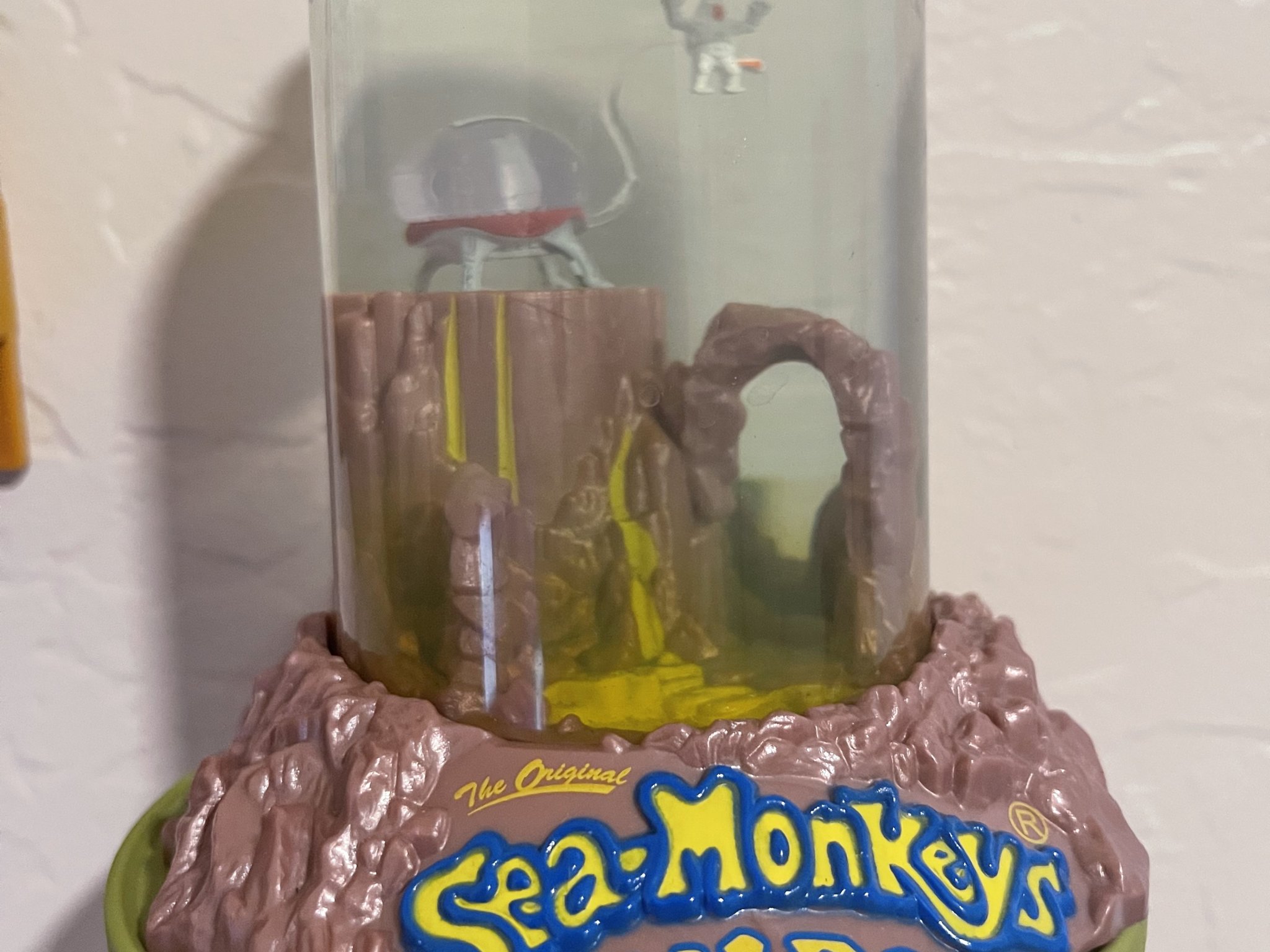 Giá đỡ treo tường cho môi trường sống của hải tinh tinh