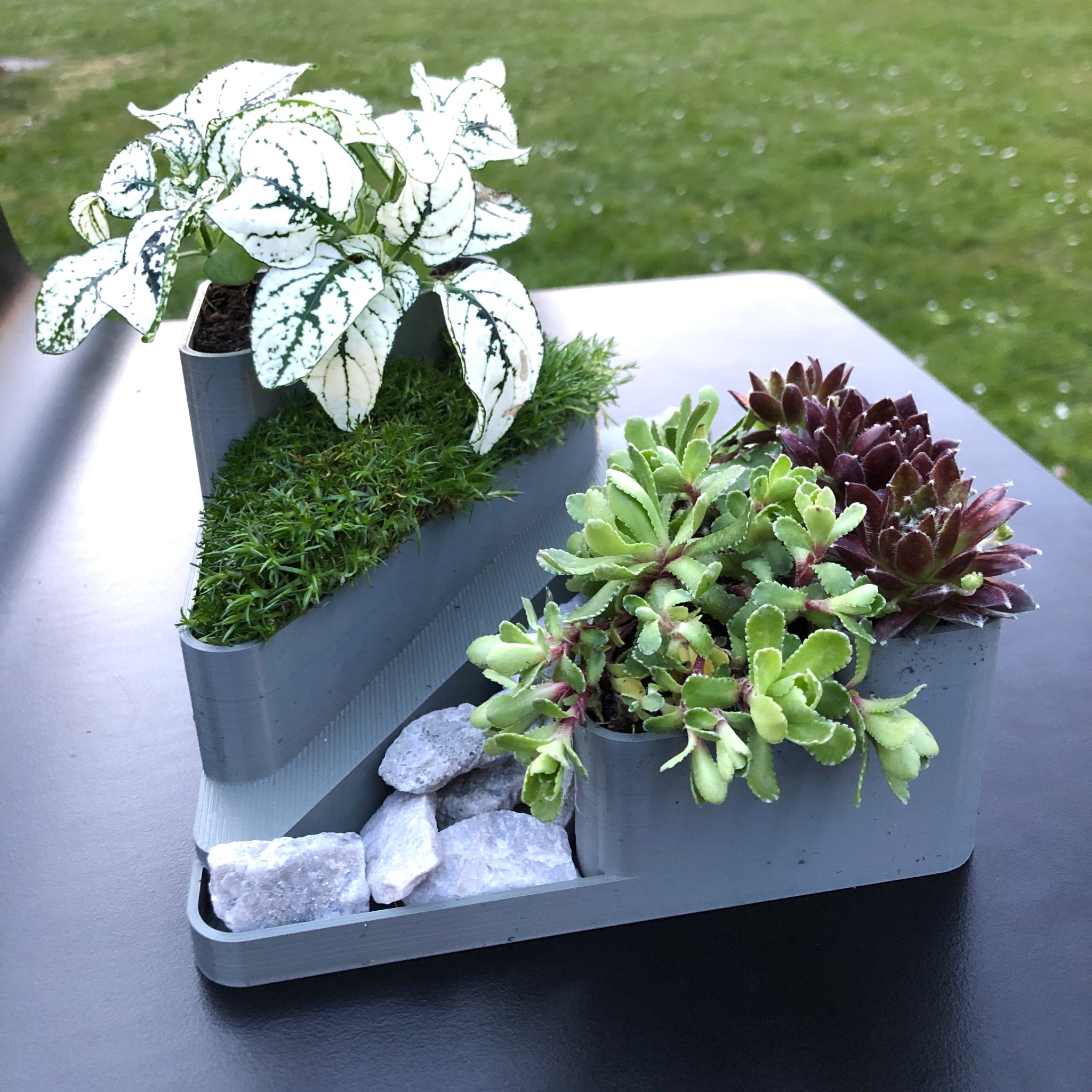 Vườn đá mini trang trí cho bàn làm việc