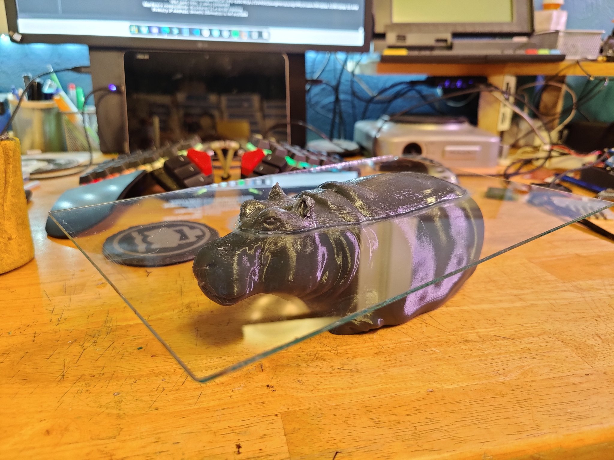 Bàn kính hình hà mã nổi lên từ mặt nước