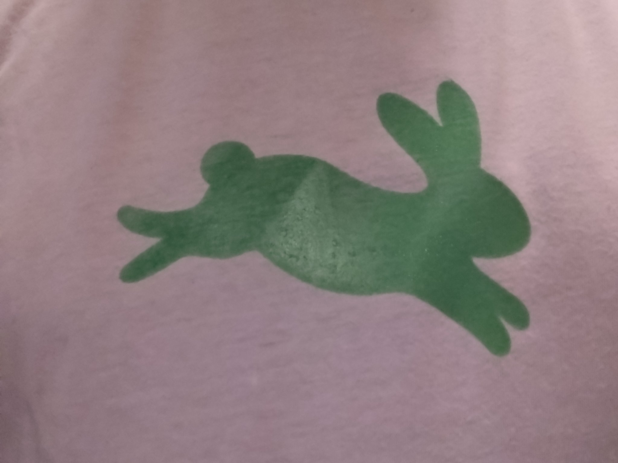 In áo phông hình thỏ dễ thương