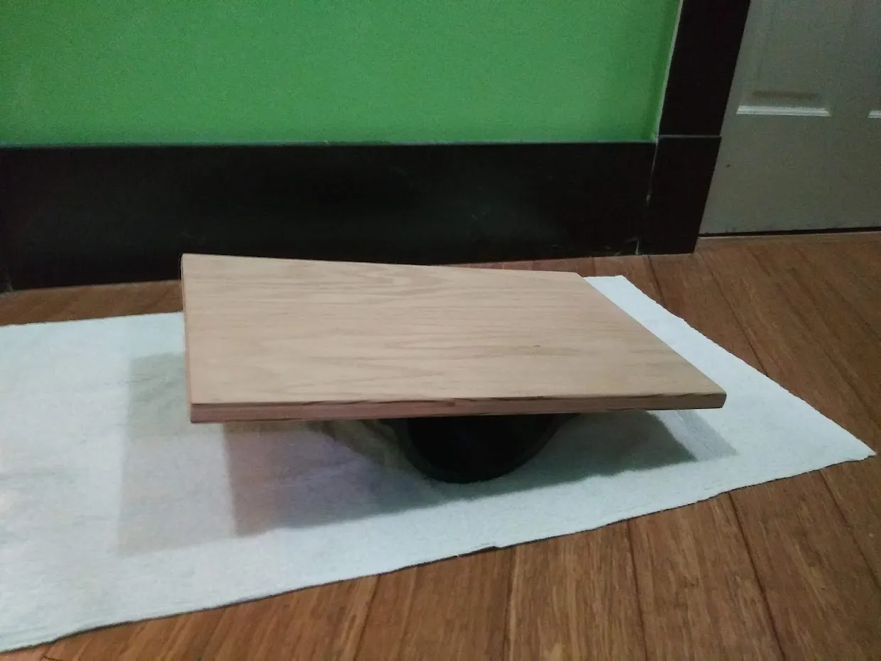 Bảng cân bằng hình tròn cho liệu pháp vật lý