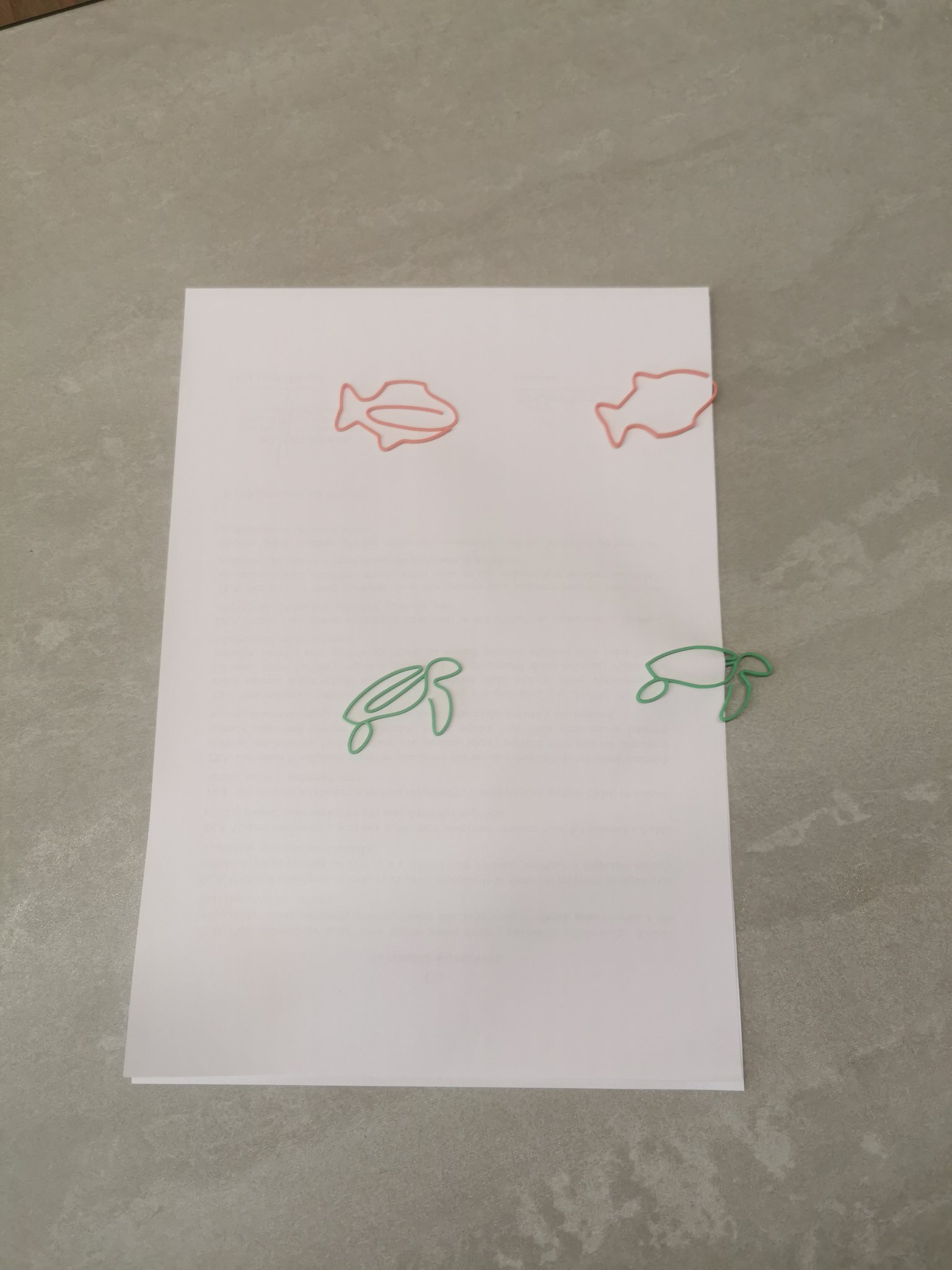 Kẹp giấy hình cá và rùa độc đáo cho văn phòng