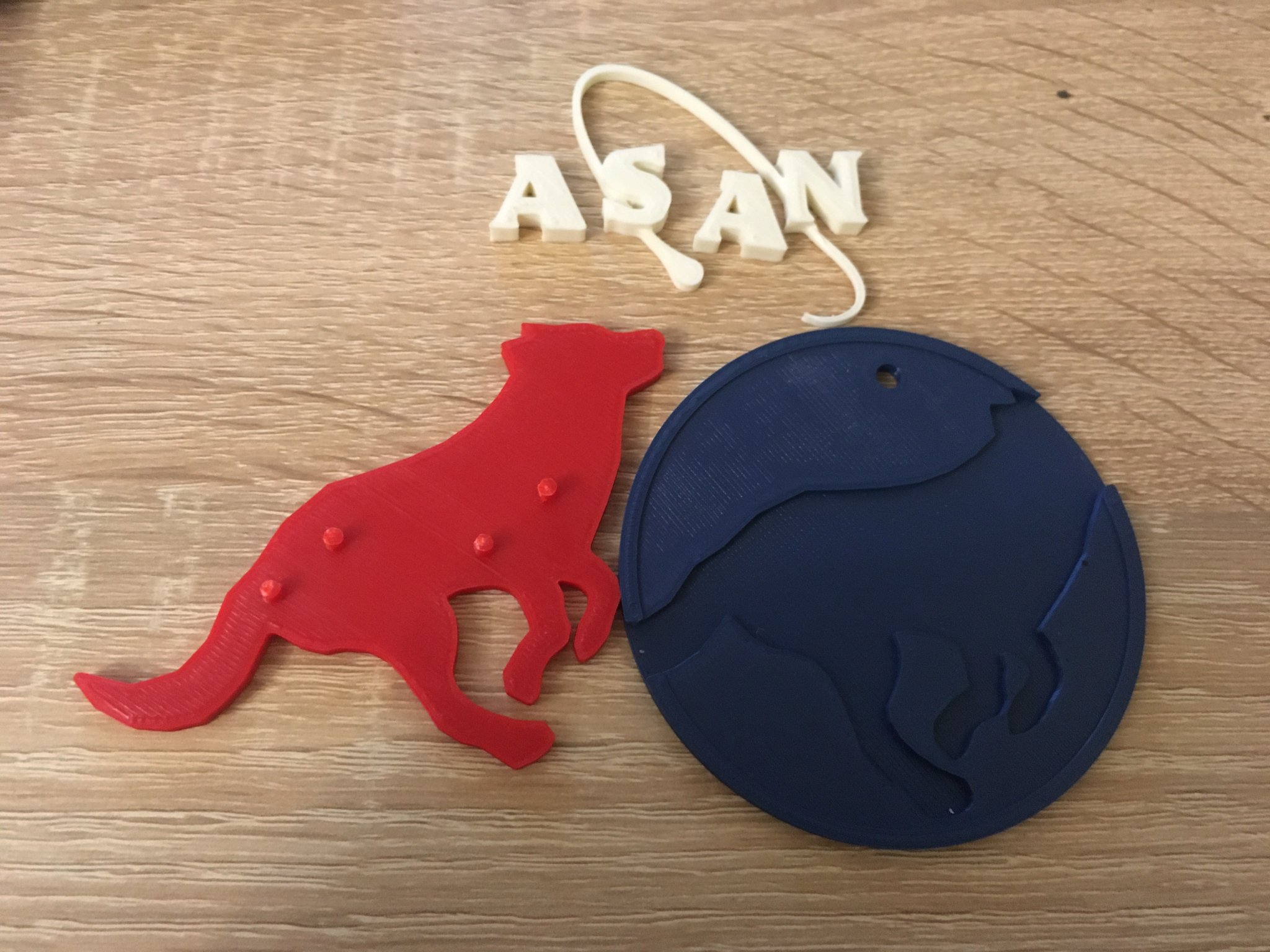 Biểu tượng chú chó Asan - NASA ngược lại