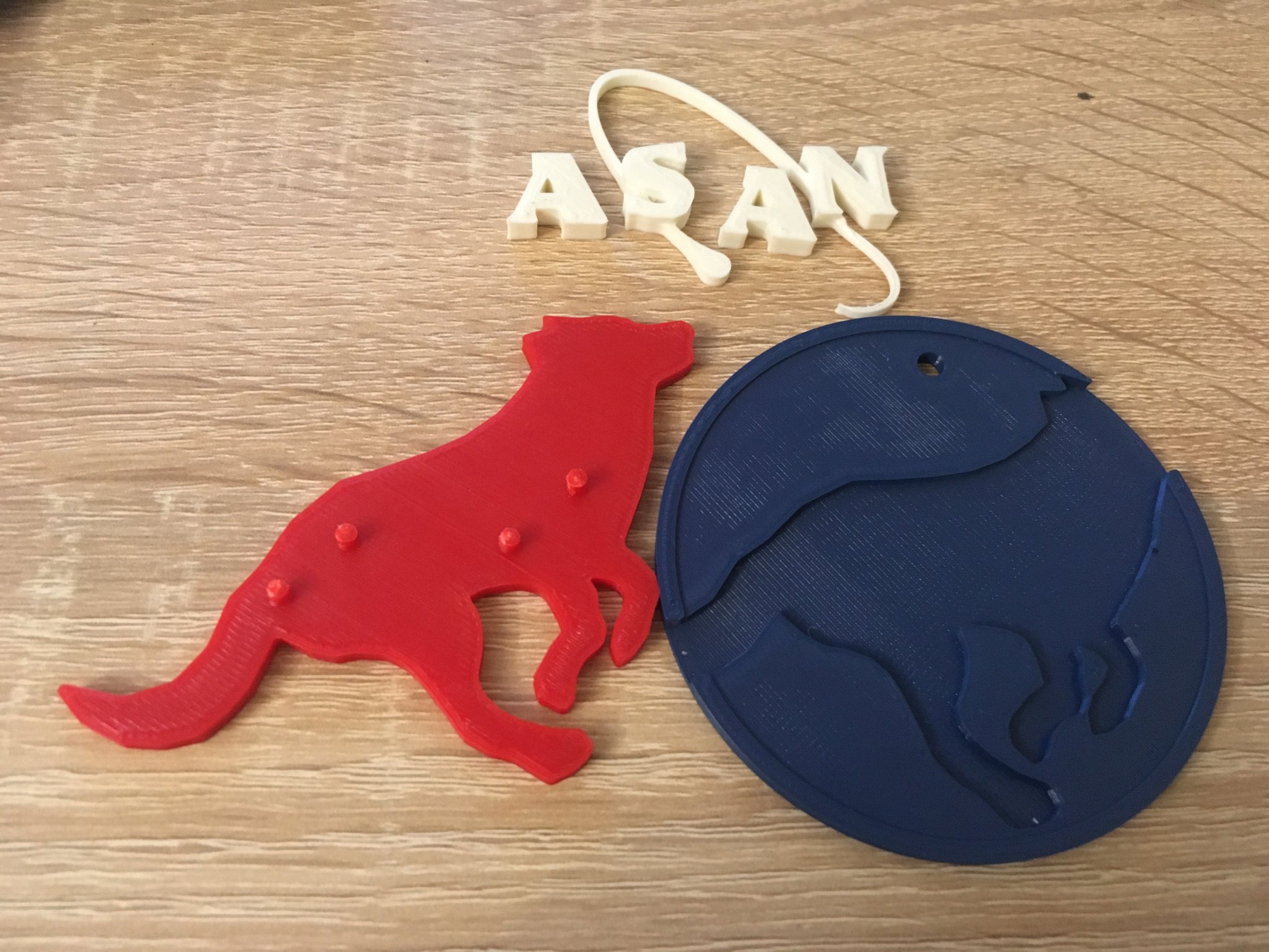 Biểu tượng chú chó Asan - NASA ngược lại