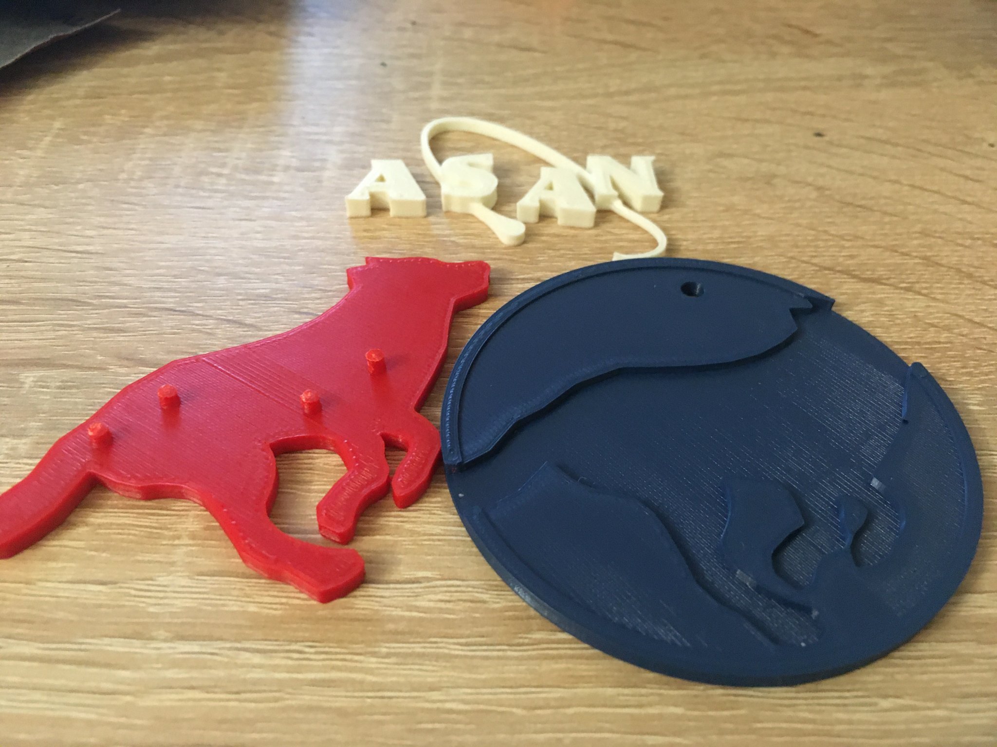 Biểu tượng chú chó Asan - NASA ngược lại