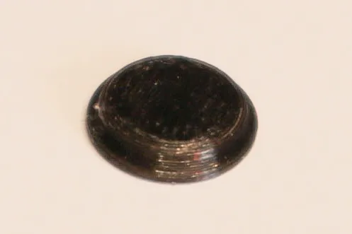 Chân thay thế cho máy tính Macintosh SE, SE30, Plus, 512k và 128k