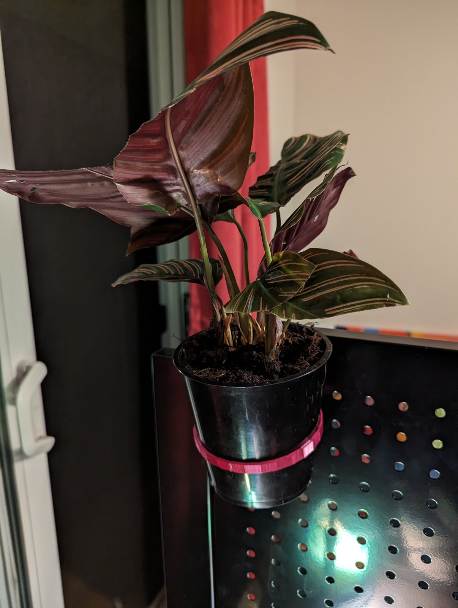 Giá treo chậu cây hình nón trên bảng đinh