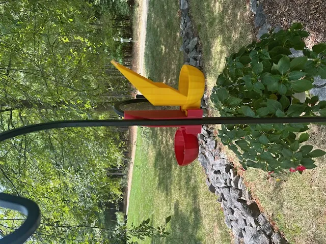 Giá đỡ camera và chậu cho chim trên giá đỡ đôi