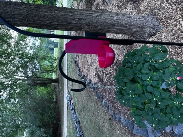 Giá đỡ camera và chậu cho chim trên giá đỡ đôi