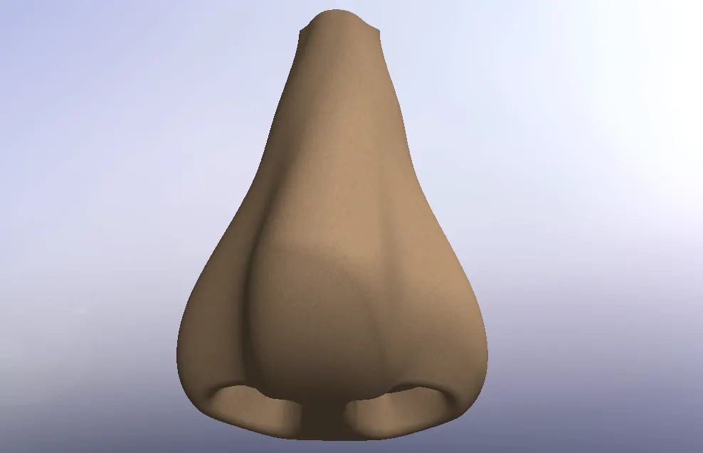 Mũi người độc đáo có móc treo và chìa khóa