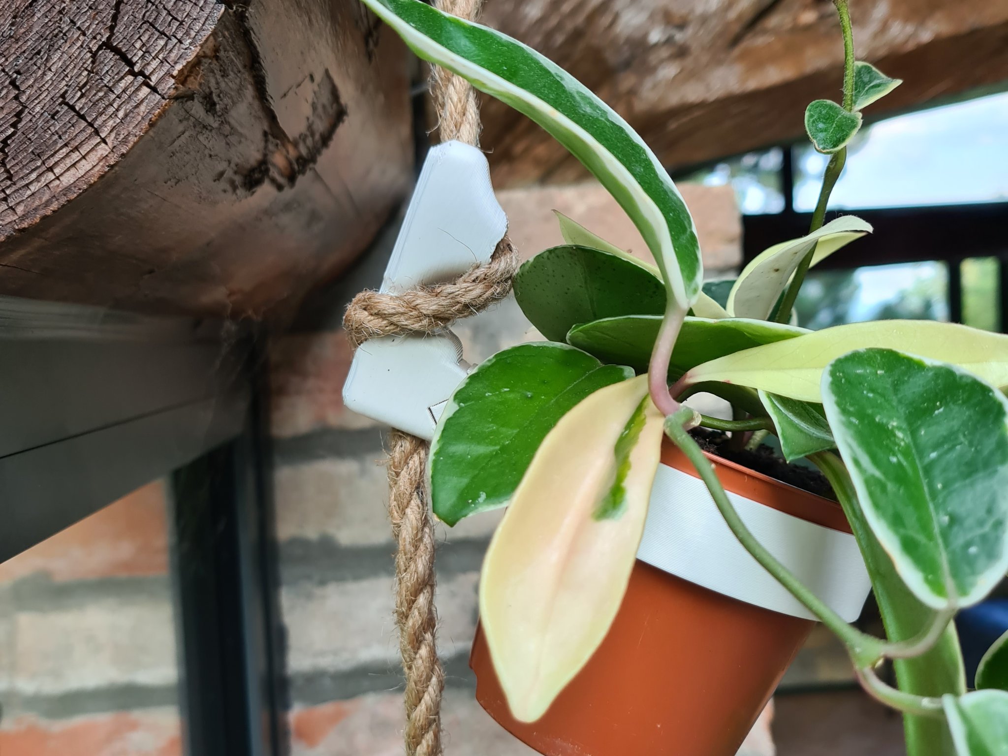 Giá treo chậu cây bằng dây thừng có thể thay đổi linh hoạt