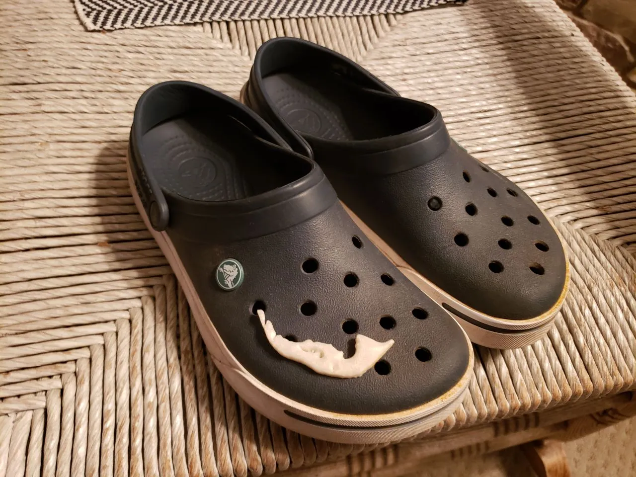 Charm Croc Hòn Đảo Sanibel tại Florida