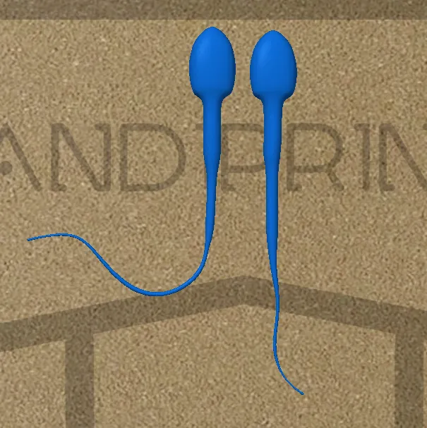 Mô hình tinh trùng STL in nhanh với chi tiết đuôi sắc nét