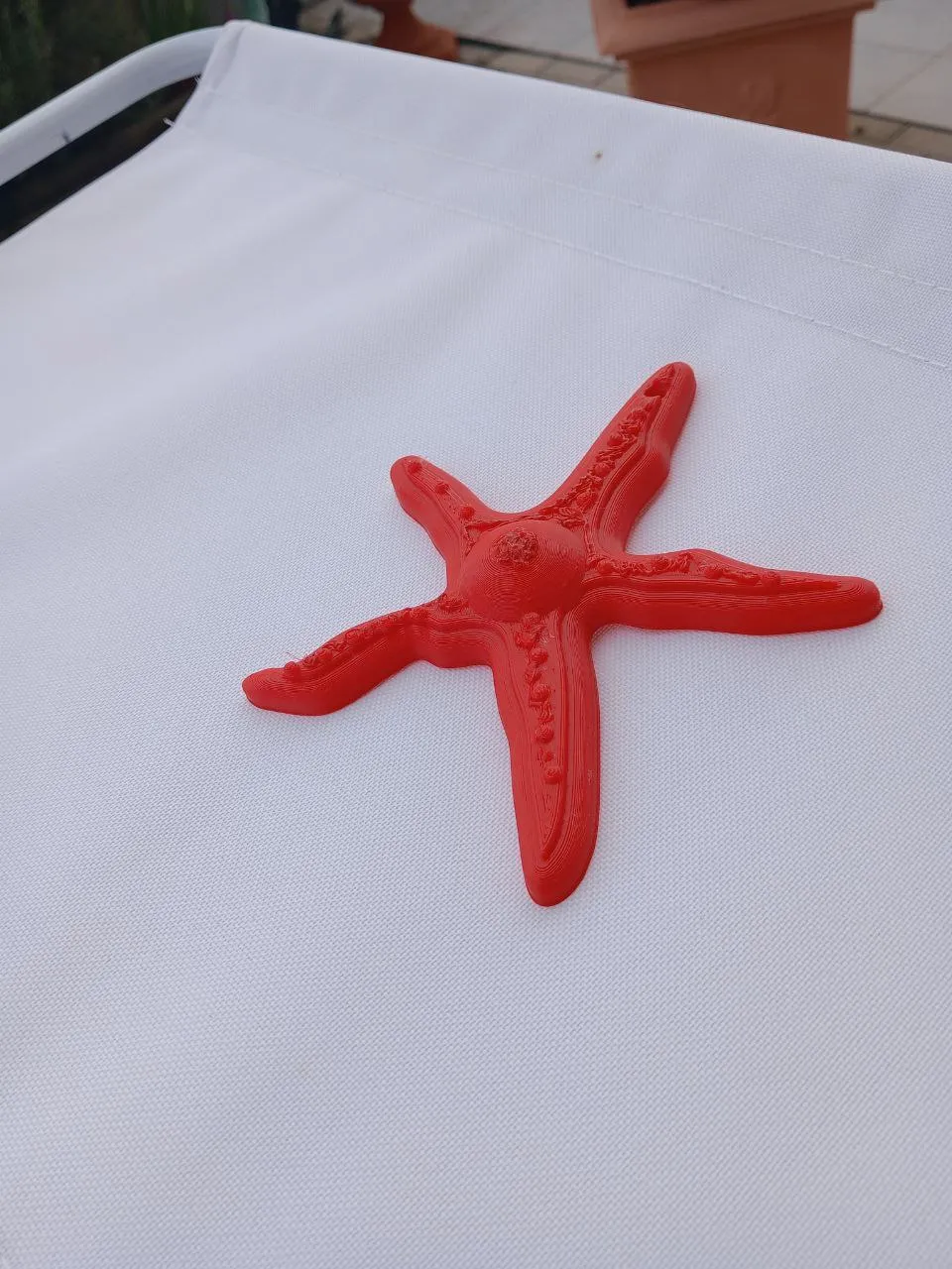 Mô hình trang trí STELLA MARINA cho mùa hè